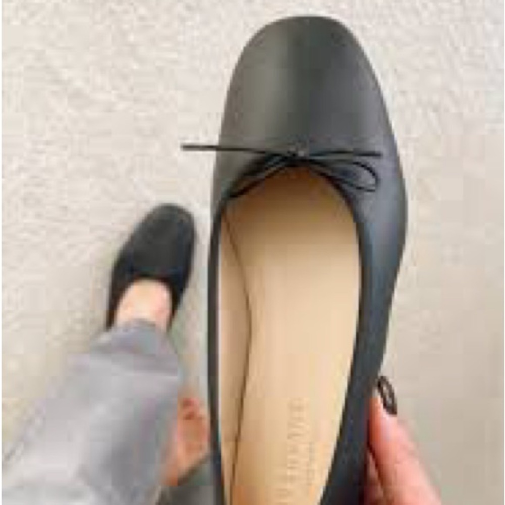 Everlane Day Ballet Flat